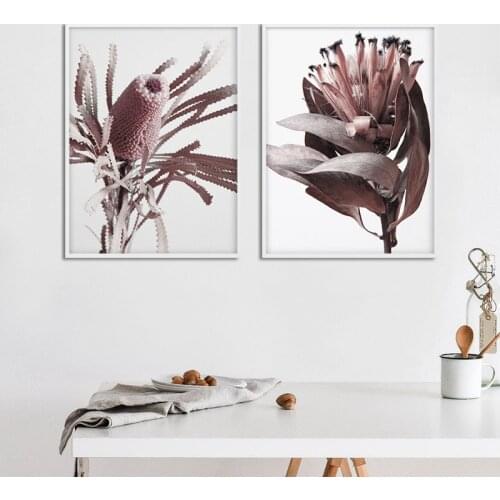 Protea Flower Nordic Art Poster Floral Canvas Print Scandinavian Decoration Painting Botanical Wall Picture Living Room Decor