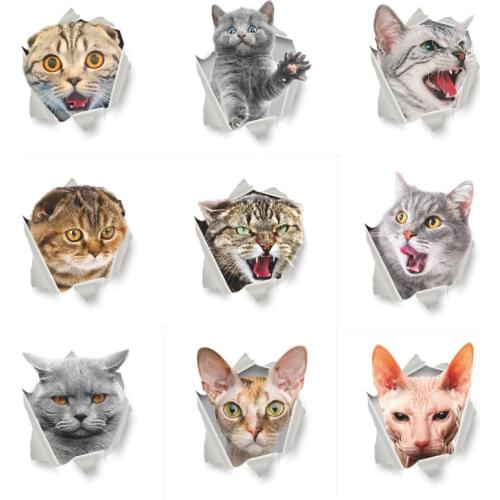 Cat Wall Sticker Toilet Seat Decal Washrom Remind refrigerator Decoration Animal Decals Art Sticker Wall Poster
