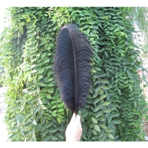 Hot! 10 Pcs / lot feather long 14-16 inches / 35-40 cm black Color Ostrich Feathers party wedding DIY decorative