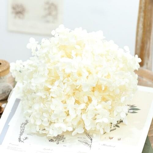 Dried flower Off white 20G DIY material Grade A Anna Folium Hydrangea polychrome wedding decoration table