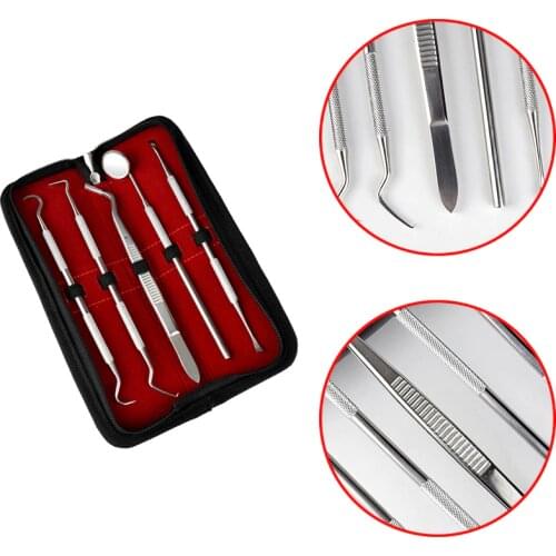 5 Pcs/Set Oral Hygiene Care Dental Tools Stainless Steel Tartar Remover Teeth Whitening Cleaning Kit With Box well SK88