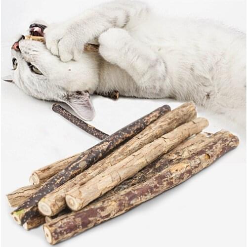 Natural Silvervine Snacks Suit Safety Molar Toothpaste Sticks Matatabi Cats Catnip Molar Cleaning Dental Chew Toys Clean Teeth