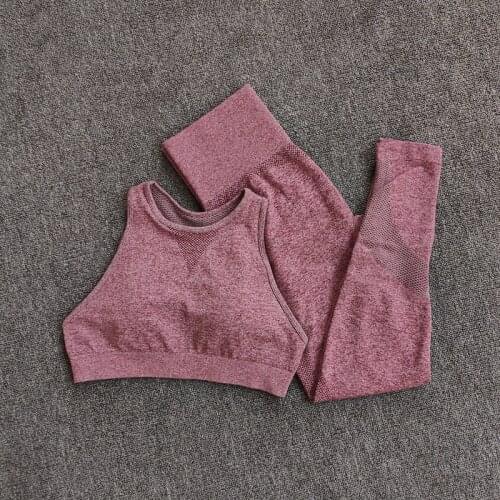 Seamless Yoga Set Workout Sport Gym Leggings+Sports Bra Fitness Clothing Yoga Set For Womens Sportswear Sports Suits