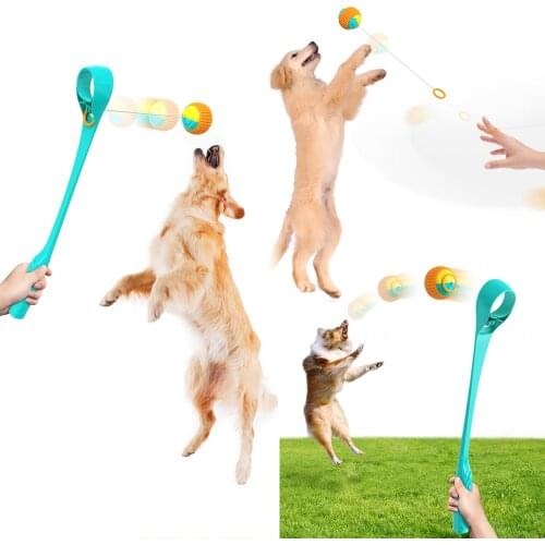 Multifunctional Throwing Ball Stick Pet Toy Durable Chewing Ball Toy Increase IQ Dogs Relieve Pressure Training Supplies