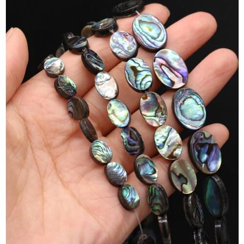 Natural Abalone Shell Egg-shaped Shell Ladies Jewelry Accessories Sea Shell Earrings Bracelet Necklace Jewelry Decoration Charm