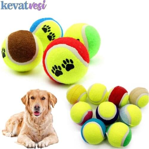 Tennis Dog Toys Balls Micro Elastic Dog Training Ball Puppy Chew Ball Funny Training Interactive Toys Outdoor Pet Supplies