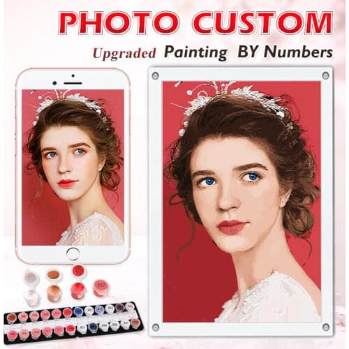 Personality Photo Customized DIY Painting By Numbers Picture Drawing Coloring by Numbers Acrylic cat adult no frame