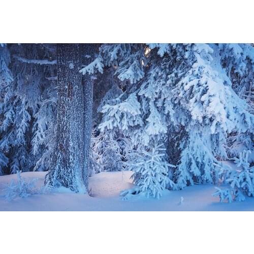 Photophone 2020 Snow forest photo background vinyl baby Christmas photography backdrop for photo studio kits accessories lv-2091