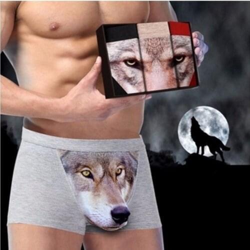 HGDTFF Men's Briefs-shorts