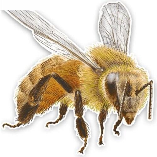 Cartoon Creative Bee PVC Sticker Car Decal Automobile Decoration,14cm*14cm