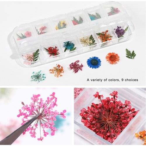 Mixed Real Dried Flowers Nail Art Decorated Sunflower Natural Floral Decals Manicure Nails Tip Dry Flower Decoration Accessories