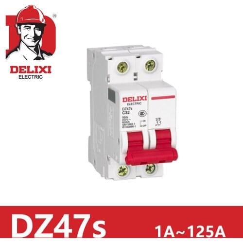 2P RCBO RCD Circuit Breaker Air switch DZ47S DELIXI MCB 2Pole "C" Curvers 1A 3A 6A 10A 16A 20A 25A 32A 40A 63A 100A 125A