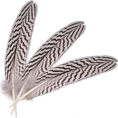 Promotion 10pcs/lot Silver Natural Pheasant Feathers 15-20cm/6-8inches Wedding DIY Decoration Feathers for Crafts