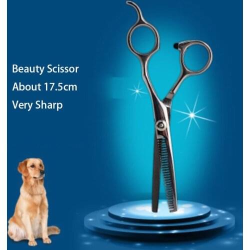 Stainless Steel Pet Dogs Gromming Scissors Shears Sharp Edge Animals Cat Hair Cutting Barber Cutting Tools Pet Supplies 2020 New