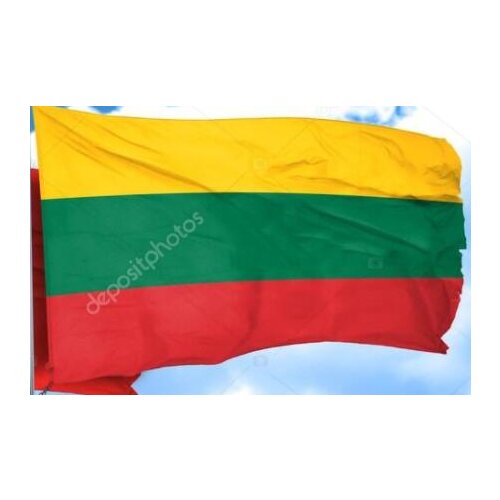 3x5FT custom Flag of Lithuania with pride banner 3ftx5ft Banner 100D Polyester Flag custom any your text flag banner