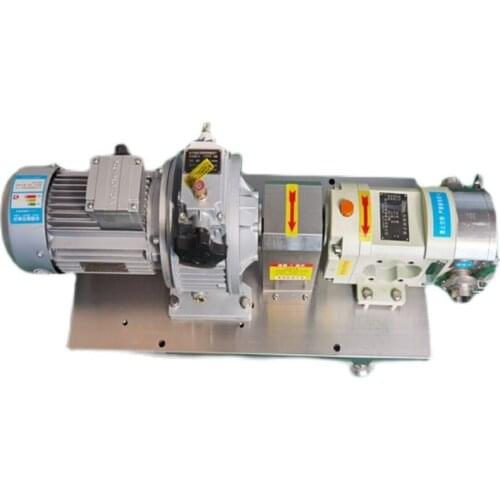 Flow rate 1.8m3/h +0.75kw stainless steel cam rotor pump TNT or UPS transported to France