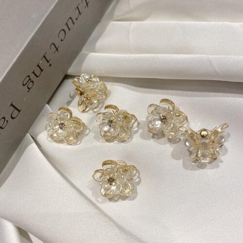 Korea Transparent Flower Small Catch Clip Small Fresh Simple Geometric Crab Clip Children Hair Accessories Hair Claw
