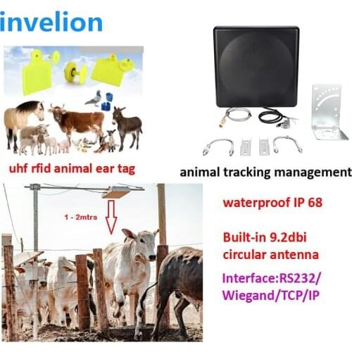 Long distance high sensitivity animal cow inventory uhf rfid reader