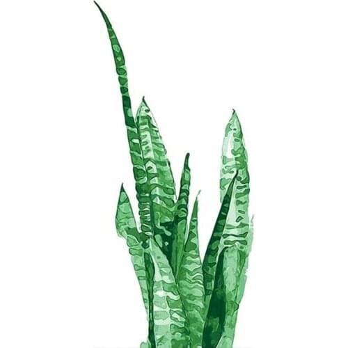 Pictures By Numbers Flowers Painting HandPainted DIY Coloring Home Decoration Gift Drawing Canvas Kits