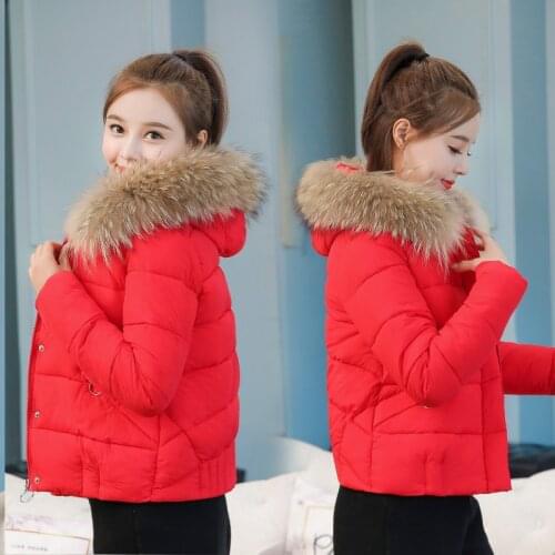 Zeongro Women's Fashion Down Jackets