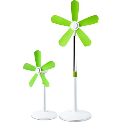 Dani Zhang Home Fans