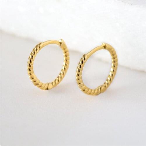 CANNER 925 Sterling Silver Earrings For Women Ear Spiral Wild Earrings Hoops Zircon Korean Pendientes Silver/Gold Jewelry