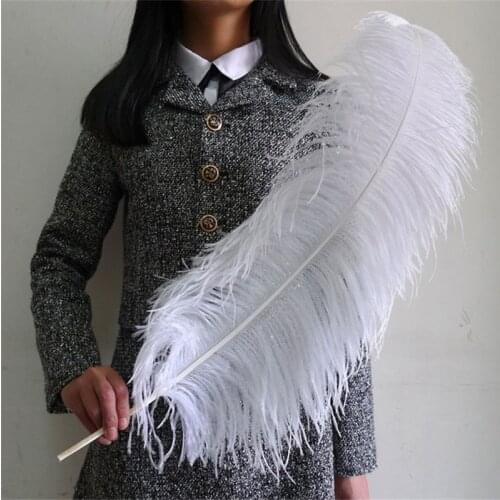 He New 5pcs/lot high quality beautiful ostrich feather 65-70cm/26-28inches celebration diy carnival plumas