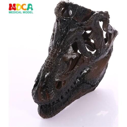 Simulation of Tyrannosaurus skulls resin handicraft interior decoration teaching research resin Skull KLGT013