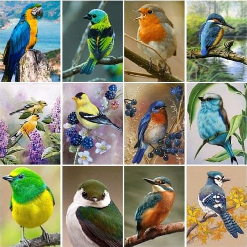 Square Diamond Painting DIY Cross Stitch Kit Bird Painting 5D Rhinestone Embroidery Mosaic Cross Stitch Wall Art Home Decor