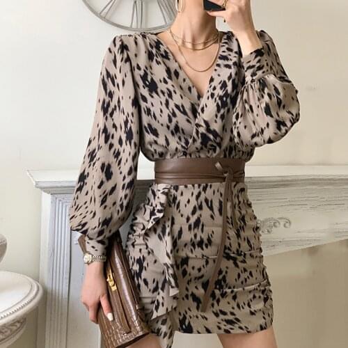 Leopard Dress Women Chiffon Long Beach Dress Loose Long Sleeve Deep V-neck A-line Sexy Party Dress Vestidos de fiesta