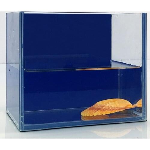 Aqumotic Decorative Wall Stickers