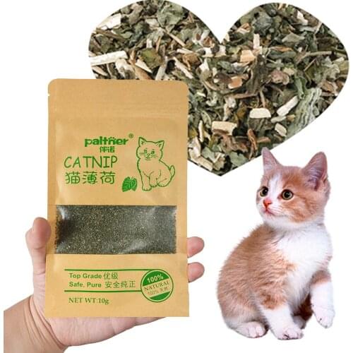 Cat Toy Organic 100% Natural Premium Catnip Cattle Grass 10g Menthol Flavor Funny Interactive Cat Treat Toy