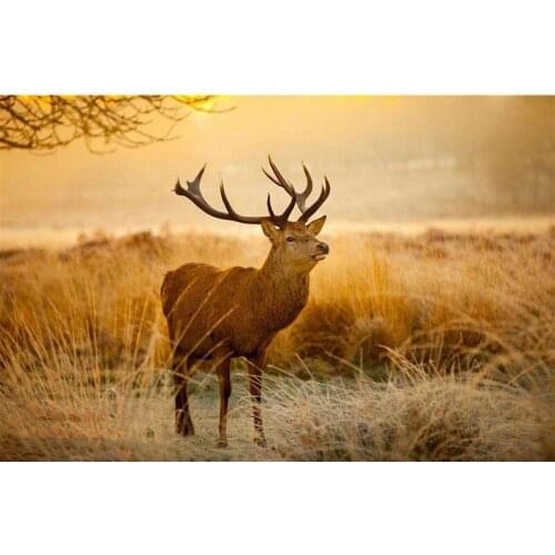 YIKEE diamond painting deer，cross stitch diamond,diamond mosaic paintings Y861