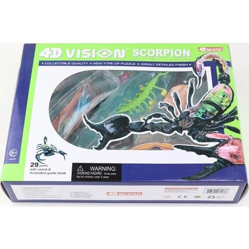 Scorpion Teaching Model 4D MASTER Puzzle Assembly Toy Animal Biological Organ Anatomy Medicine