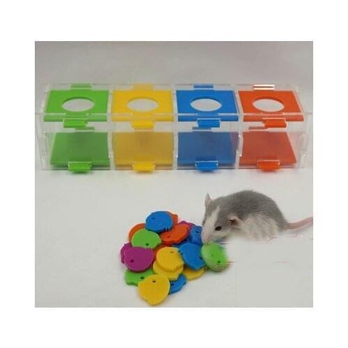 Chipmunk puzzle training intelligence development toy, color separation coin box, pet toy
