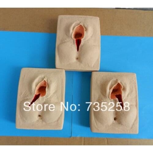 Vulvar incision suture training model, Vulva Suturing Training Simulator