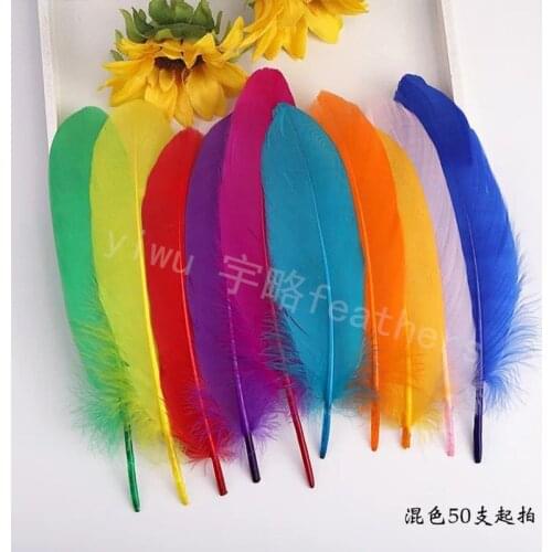50PCS Colored Party Crafts Feathers Wedding Natural Goose Feathers for Crafts Plumes 6-8inch/15-20cm DIY Dream Catcher Home deco