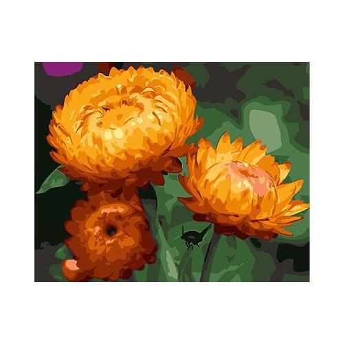 PAINTBOY Flower Framed Pictures DIY Painting By Numbers Handwork Canvas Oil Painting Home Decor For Living Room