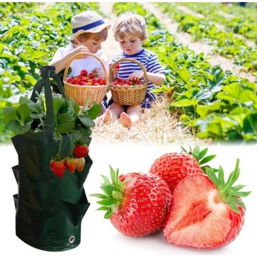 Garden Strawberry PE Hanging Grow Planting Bag Plant Root Pot Pouch Container