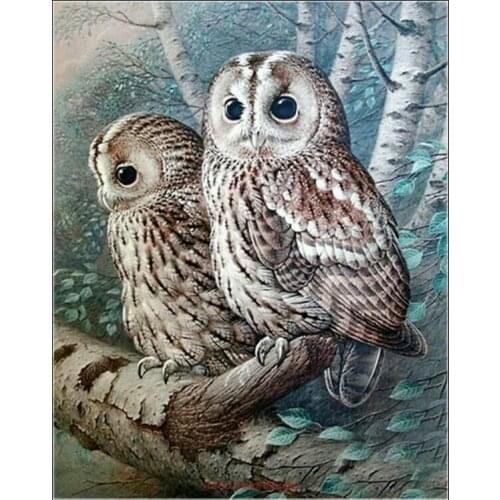 Counted Cross Stitch Kits Needlework Embroidery - Craft 14 ct Aida DMC Color DIY Arts Handmade Home Decor - The Tawny Owl