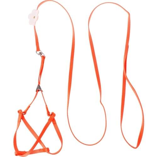 Pet Harness Small Pets Parrot Bird Parakeet Leash Outdoor Adjustable Strap Training Rope Flying Cross Band Soft Colorful Product