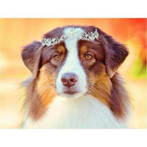 5d diy Diamond Painting Australian Shepherd Animal 3d Cross Stitch Diamond Embroidery Full Layout Mosaic Diamond round square