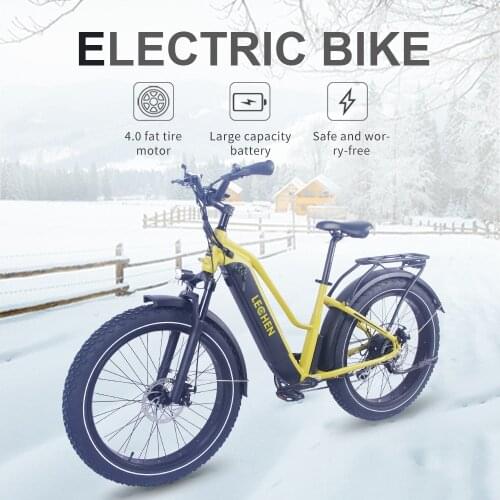 MERIGOGO Motorized Bicycles