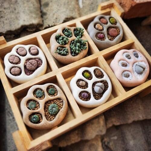 Cute Cat Paw Shape Concrete Flowerpot Silicone Mold Cement Flower Pot Mould Mini For Succulent Plants