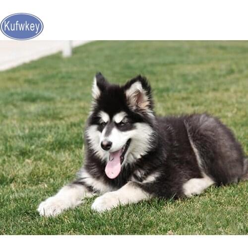 Alaskan MalamuteDiy Diamond Painting dog ,Diamond Embroidery animal mosaic Painting,puzzles 5d Diamond,New year gifts