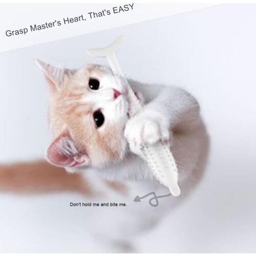 Silicone Fish Shape Cat Toothbrush Teething Toy with Catnip Pet Toys CLH@8