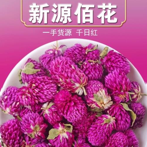 Household Globe Amaranth A Variety of Amino Acids and Vitamins Beauty Health Flower Tea Women Gift Wedding Party Decoration