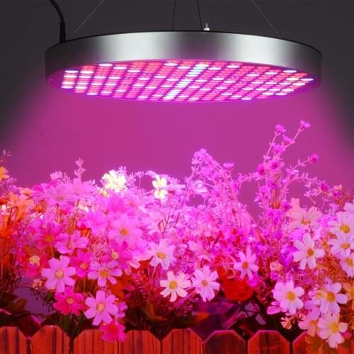LED Grow Phyto Lamp Full Spectrum 50W LED Grow Lights Hanging Kit 250 LEDs For Seedlings Indoor Hydroponics AC 110v 220V