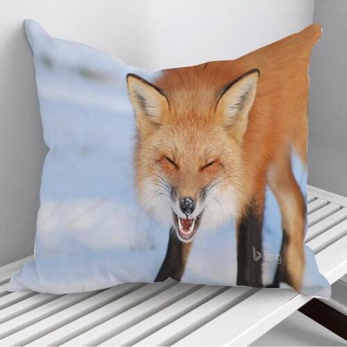 Animal Fox Throw Pillows Cushion Cover On Sofa Home Decor 45*45cm 40*40cm Gift Pillowcase Cojines Dropshipping