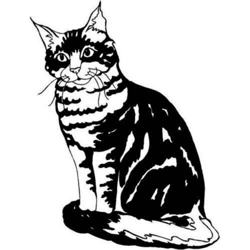 9.7*12.7CM Main Coon Cat Vinyl Decal Stylish Car Stickers Car Styling Motorcycle Accessories Black/Silver S1-1425